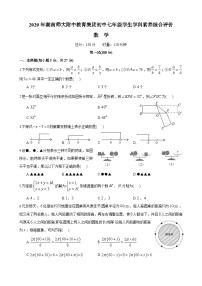 2020年湖南师大附中教育集团初中七年级学生学科素养综合评价数学试卷