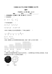 2023年江西省南昌市第八中学九年级下学期第八次月考数学试题