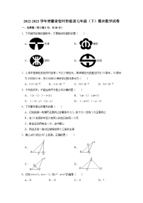 安徽省宿州市泗县2022-2023学年七年级下学期期末数学试卷