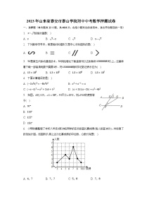 2023年山东省泰安市泰山学院附中中考数学押题试卷（含解析）