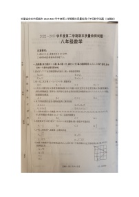 安徽省安庆市桐城市2022-2023学年八年级下学期期末质量检测+数学试题+