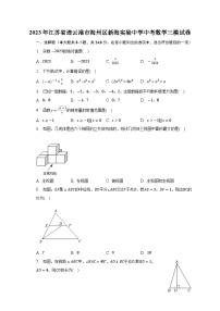 2023年江苏省连云港市海州区新海实验中学中考数学三模试卷（含答案）