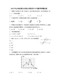 2023年山东省泰安市泰山学院附中中考数学押题试卷（含答案）