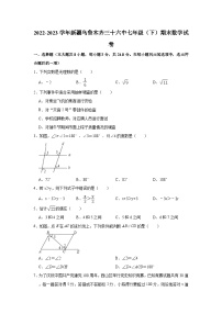 新疆乌鲁木齐市第三十六中学2022-2023学年七年级下学期期末数学试题