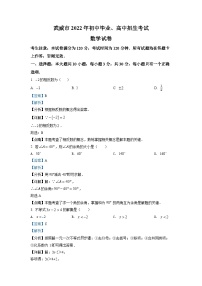 2022年甘肃省武威中考数学真题（解析版）