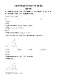 2022年河北省中考数学真题 （解析版）