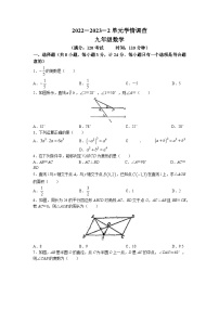 2023年陕西省西安市中考模拟数学试题