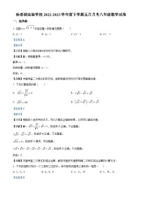 精品解析：湖北省武汉市洪山区杨春湖实验学校2022-2023学年八年级下学期5月月考数学试题（解析版）