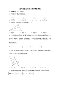 2022—2023学年北师大版数学七年级下期末模拟训练