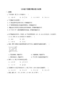 七年级下册数学期末复习试卷