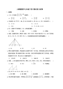 七年级下册数学期末复习试卷