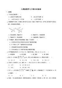 七年级下学期数学期末训练卷