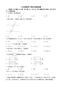 七年级下数学期末试卷