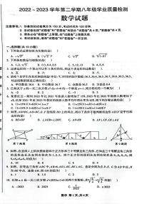 安徽省合肥市蜀山区校中国科大附中高新中学2022-2023学年下学期八年级数学期末试卷