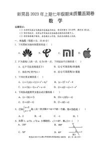 湖南省怀化市新晃侗族自治县2022-2023学年七年级下学期6月期末数学试题