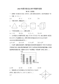 2023年四川省乐山市中考数学试卷(含解析)