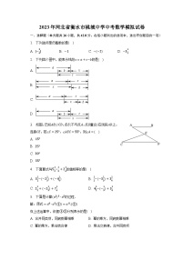 2023年河北省衡水市桃城中学中考数学模拟试卷（含解析）