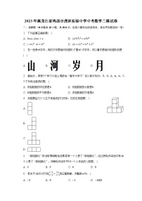 2023年黑龙江省鸡西市虎林实验中学中考数学二模试卷（含解析）