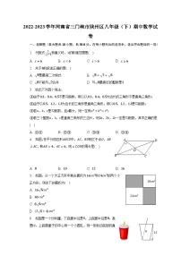 2022-2023学年河南省三门峡市陕州区八年级（下）期中数学试卷（含解析）