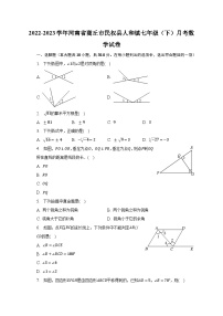 2022-2023学年河南省商丘市民权县人和镇七年级（下）月考数学试卷（含解析）