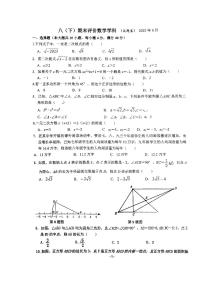 安徽省合肥寿春中学2022--2023学年八年级数学下学期期末数学试卷