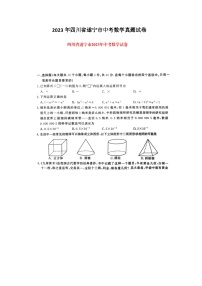 2023年四川省遂宁市中考数学真题试卷(图片版)