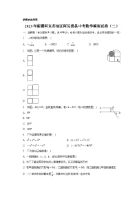 2023年新疆阿克苏地区阿瓦提县中考数学模拟试卷（二）(解析版)