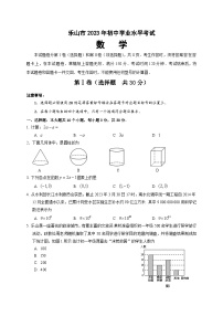 2023年四川省乐山市2023年初中学业水平考试数学试题(含答案)