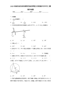 2023年陕西省西安市雁塔区陕西师范大学附属中学中考三模数学试题（含解析）