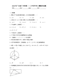 2023年广东省广州市第一一三中学中考三模数学试题(含解析)