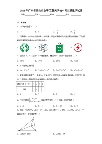 2023年广东省汕头市金平区蓝天学校中考三模数学试题（含解析）