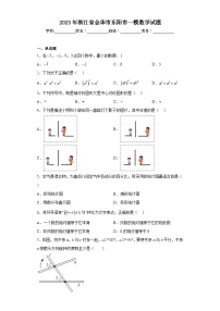 2023年浙江省金华市东阳市一模数学试题（含解析）