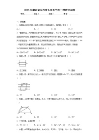 2023年湖南省长沙市长沙县中考三模数学试题（含解析）