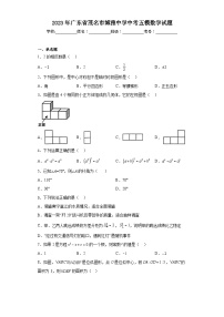 2023年广东省茂名市博雅中学中考五模数学试题（含解析）