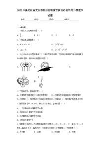 2023年黑龙江省大庆市杜尔伯特蒙古族自治县中考二模数学试题（含解析）