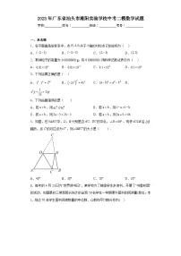 2023年广东省汕头市潮阳实验学校中考二模数学试题(含解析)