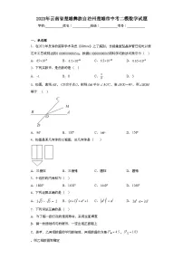 2023年云南省楚雄彝族自治州楚雄市中考二模数学试题(含解析)