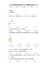 2023年福建省福州市黎明中学中考模拟数学试题（6月）（含解析）