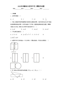 2023年安徽省合肥市中考三模数学试题（无答案）