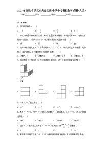 2023年湖北省武汉市光谷实验中学中考模拟数学试题（六月）（含解析）