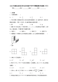 2023年湖北省武汉市光谷实验中学中考模拟数学试题（六月）（含解析）