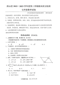 湖北省武汉洪山区2022-2023学年七年级下学期期末数学试卷