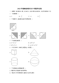 2023年湖南省郴州市中考数学试卷（含解析）