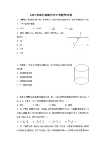 2023年湖北省随州市中考数学试卷（含解析）