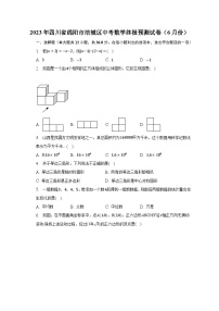 2023年四川省绵阳市涪城区中考数学终极预测试卷（6月份）（含解析）