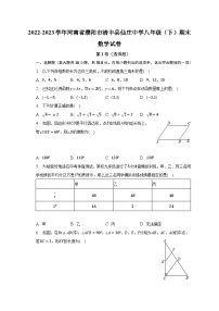 2022-2023学年河南省濮阳市清丰县仙庄中学八年级（下）期末数学试卷（含解析）