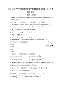 2022-2023学年广东省东莞市东华学校思特班七年级（下）月考数学试卷（含解析）