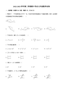 浙江省宁波市海曙区部分校2022-2023学年七年级下学期期中数学试题