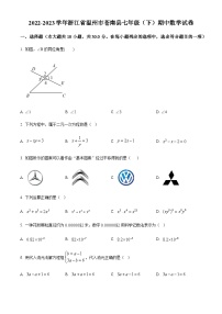 浙江省温州市苍南县2022-2023学年七年级下学期期中数学试题