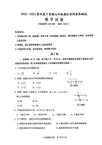 广西南宁市邕宁区邕宁民族中学2022-2023学年七年级下学期期末数学试题